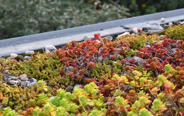 the cost of Dinworthy green roof installation