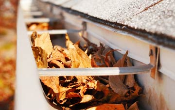 Dinworthy gutter cleaning companies